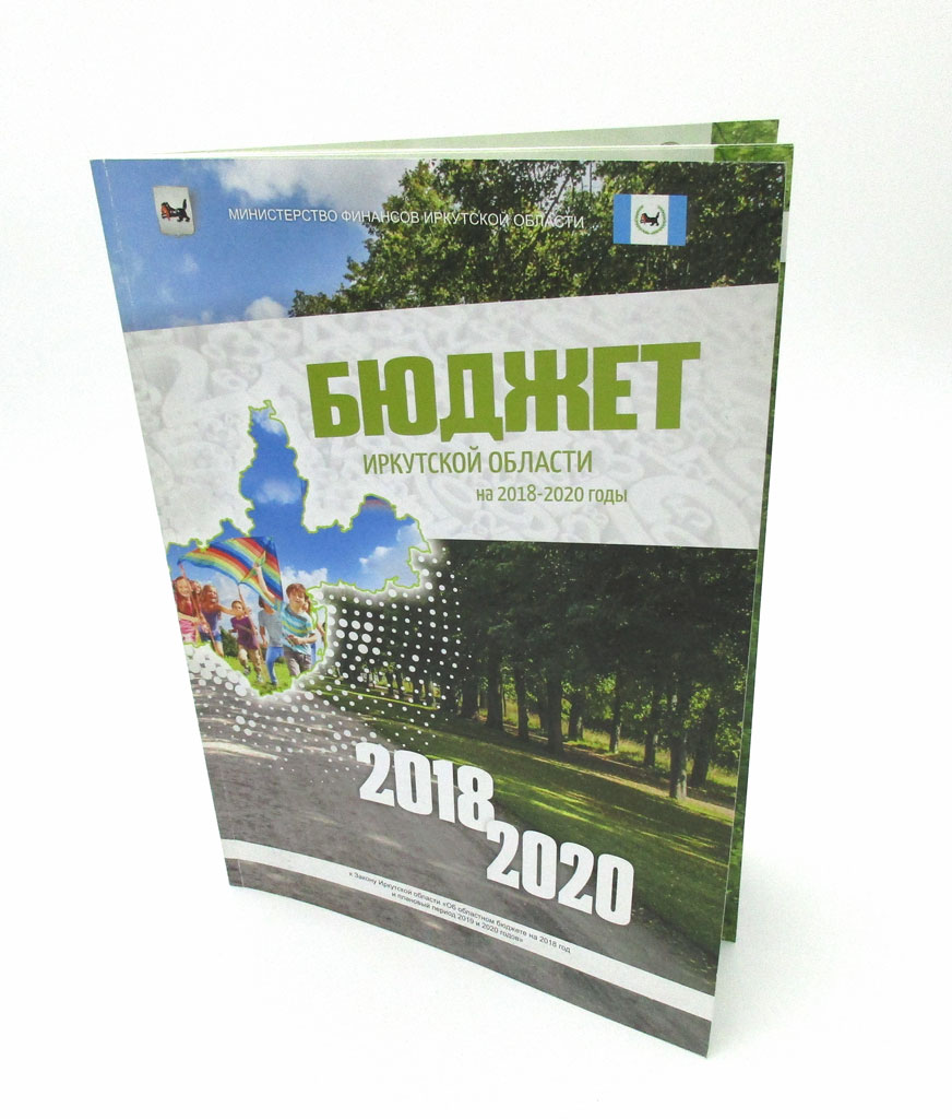 Бюджет Иркутской области